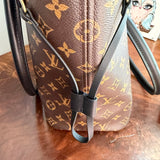 The Dog/Cat Carrier in Vintage LV Monogram (black)