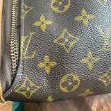 LOUIS VUITTON Monogram Garment Bag Insert - Large