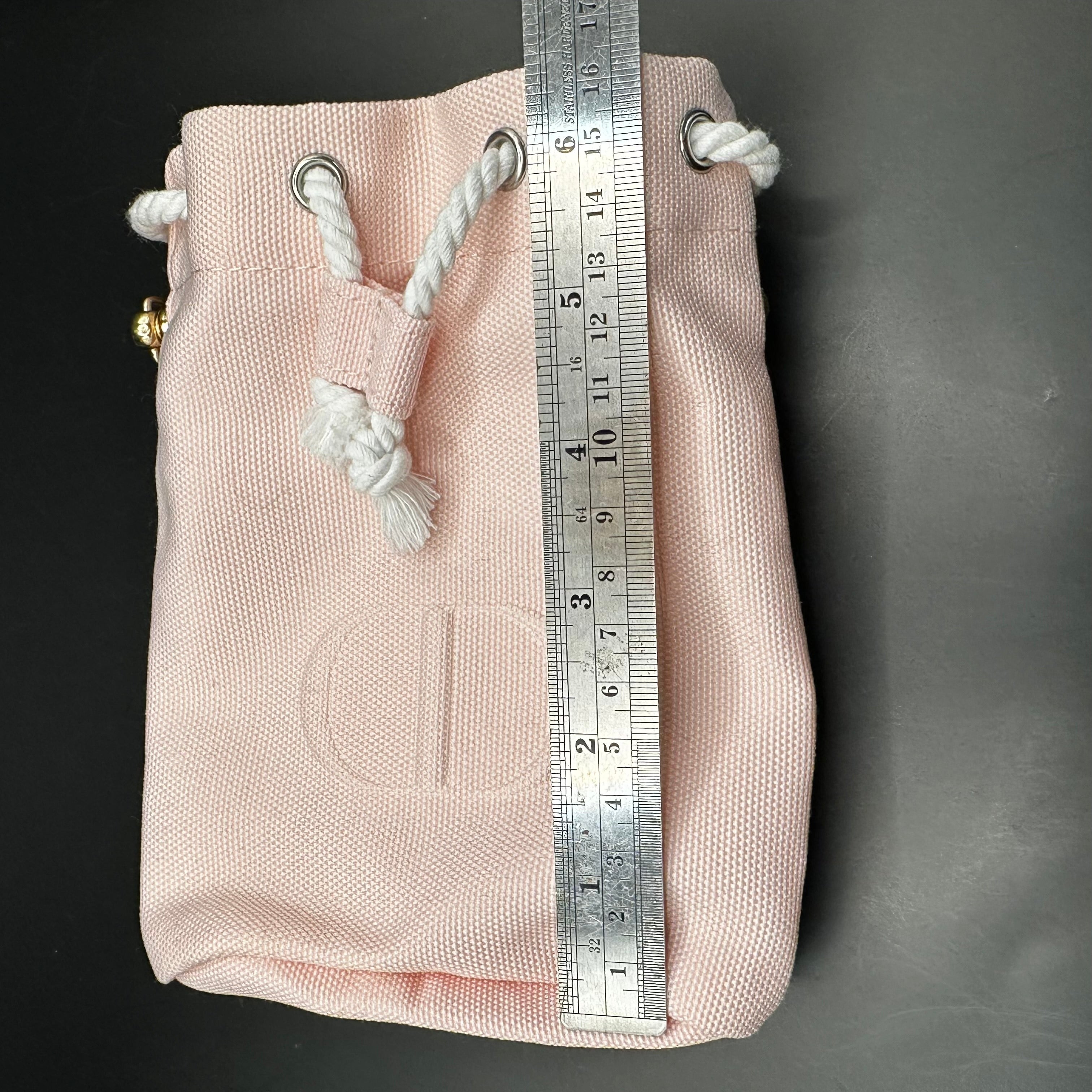 The Junco Pearl Handbag  - Pale Pink Dior