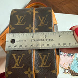 The Parrot Crossbody - LV Monogram in Vachetta