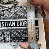 The Junco Crossbody Bag - Dior in Paris