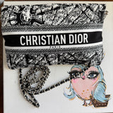 The Junco Crossbody Bag - Dior in Paris