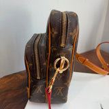 The Parrot Crossbody - LV Monogram in Vachetta