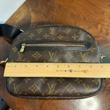 The Cockatiel Crossbody - Vintage LV Monogram in Black