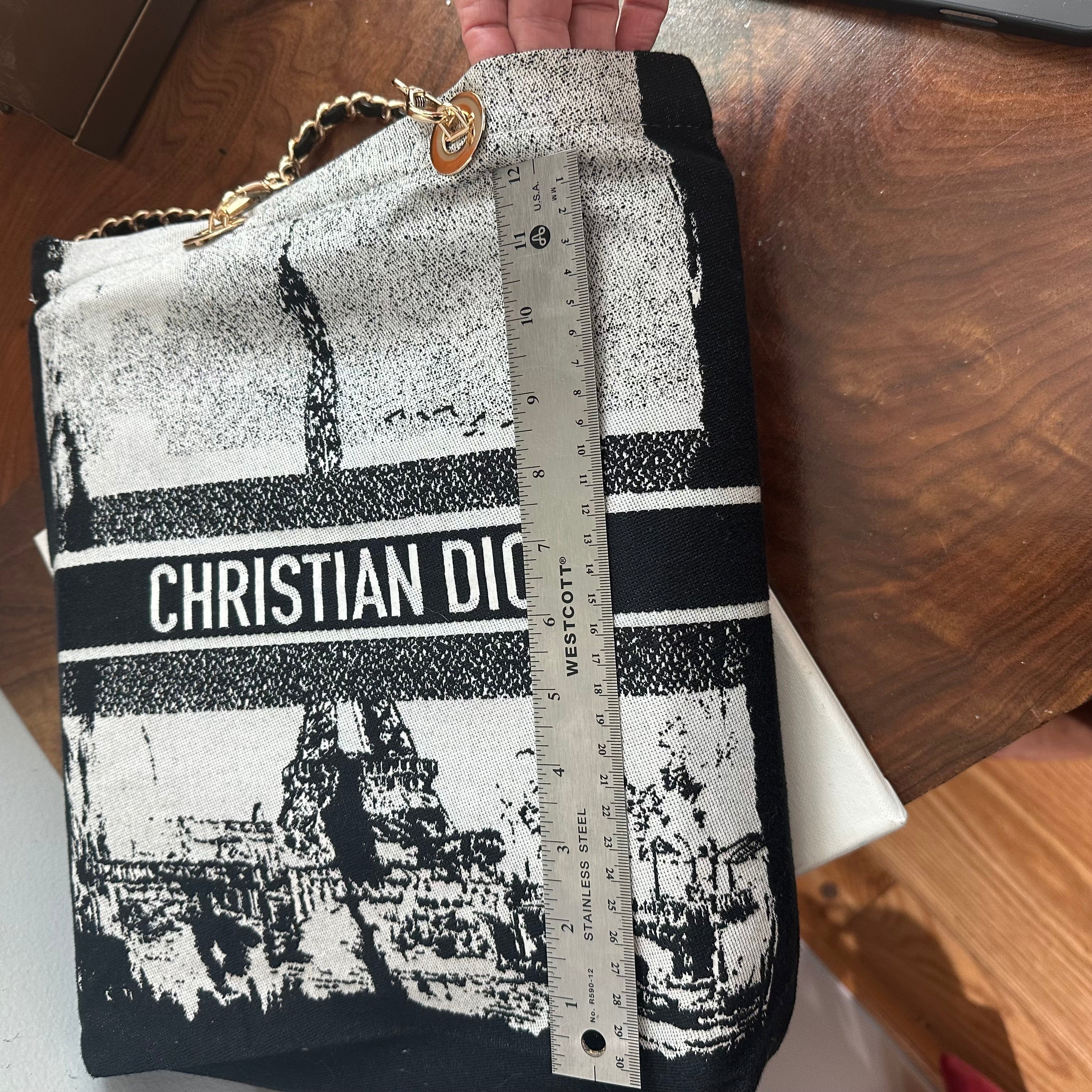 The Tote Bag - Dior Canvas with Paris/Statue of Liberty