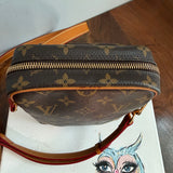 The Parrot Crossbody - LV Monogram in Vachetta