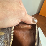 The Parrot Crossbody - Monogram in Vachetta