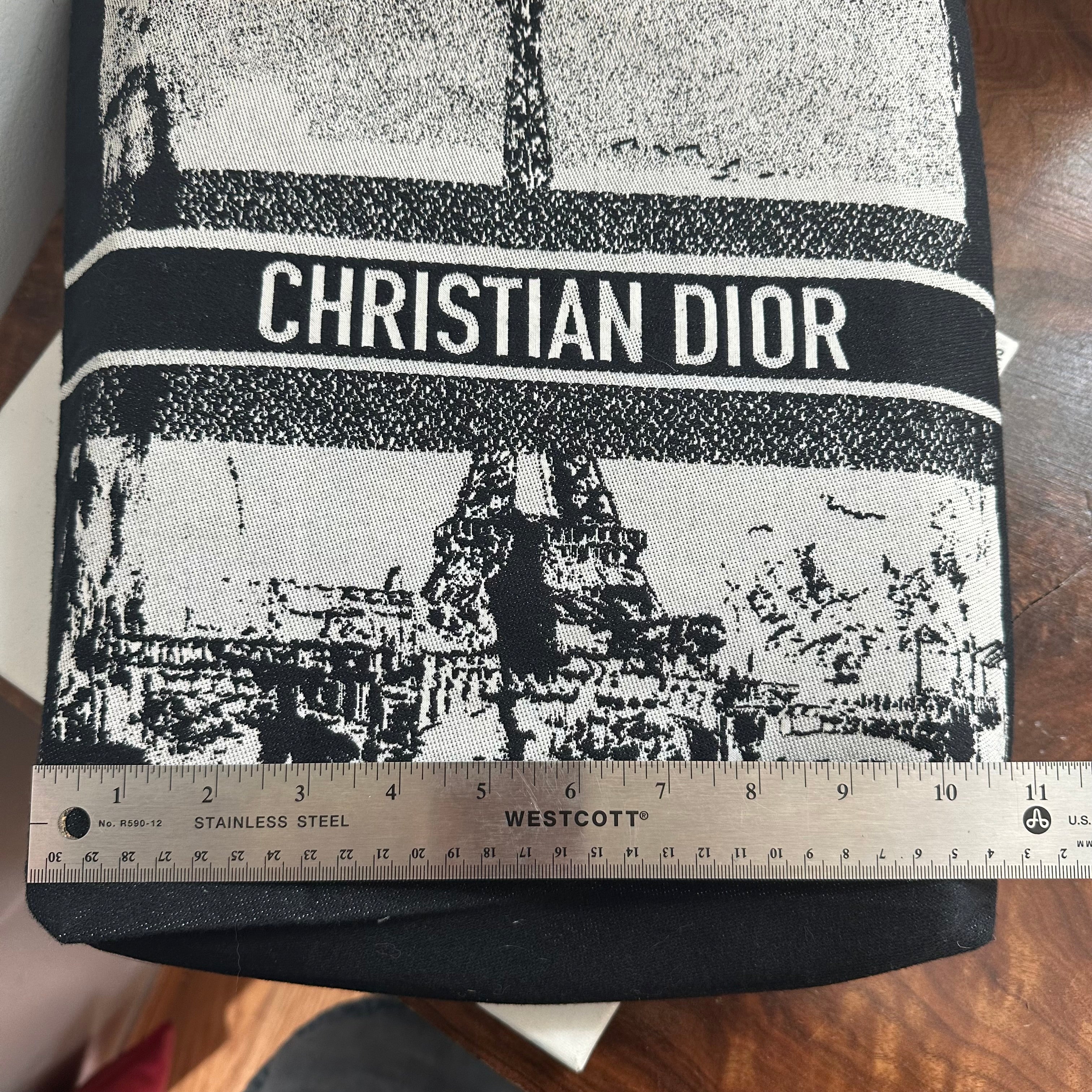 The Tote Bag - Dior Canvas with Paris/Statue of Liberty