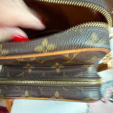 The Parrot Crossbody - LV Monogram in Vachetta