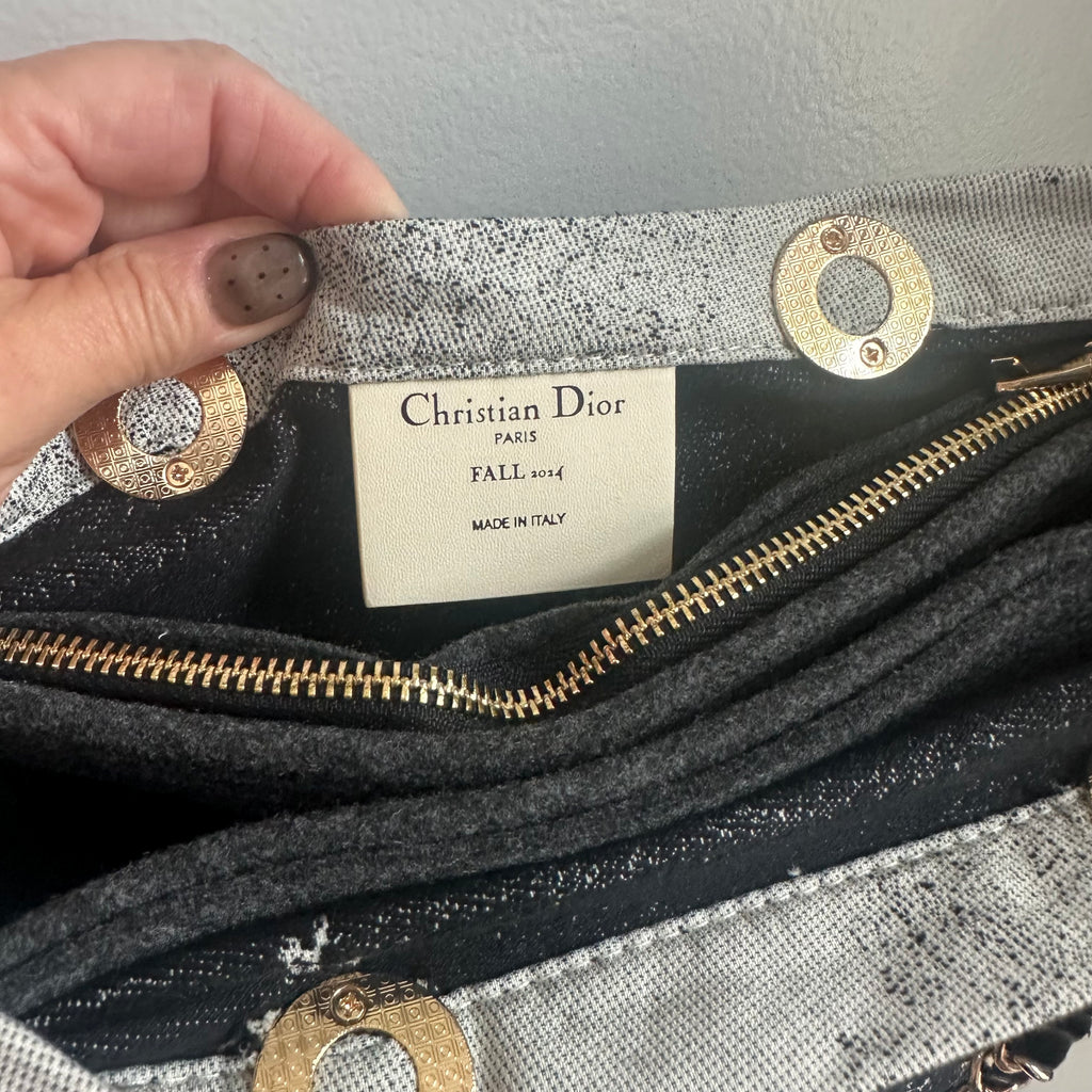 The Tote Bag - Dior Canvas with Paris/Statue of Liberty