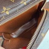 The Parrot Crossbody - LV Monogram in Vachetta