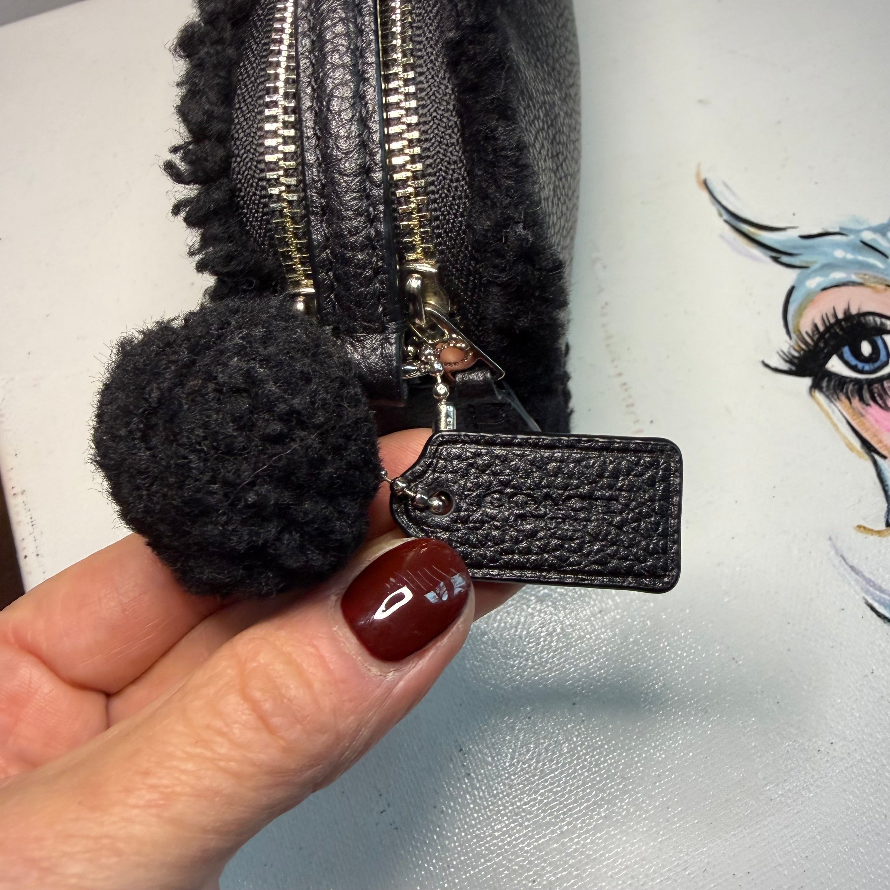 The Junco Crossbody - Black Shearling Leather Coach