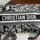 The Junco Crossbody Bag - Dior in Paris