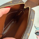 The Parrot Crossbody - LV Monogram in Vachetta