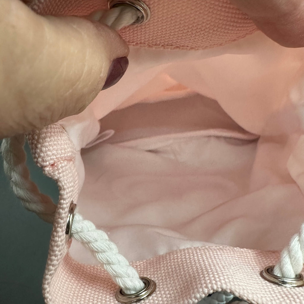 The Junco Pearl Handbag  - Pale Pink Dior