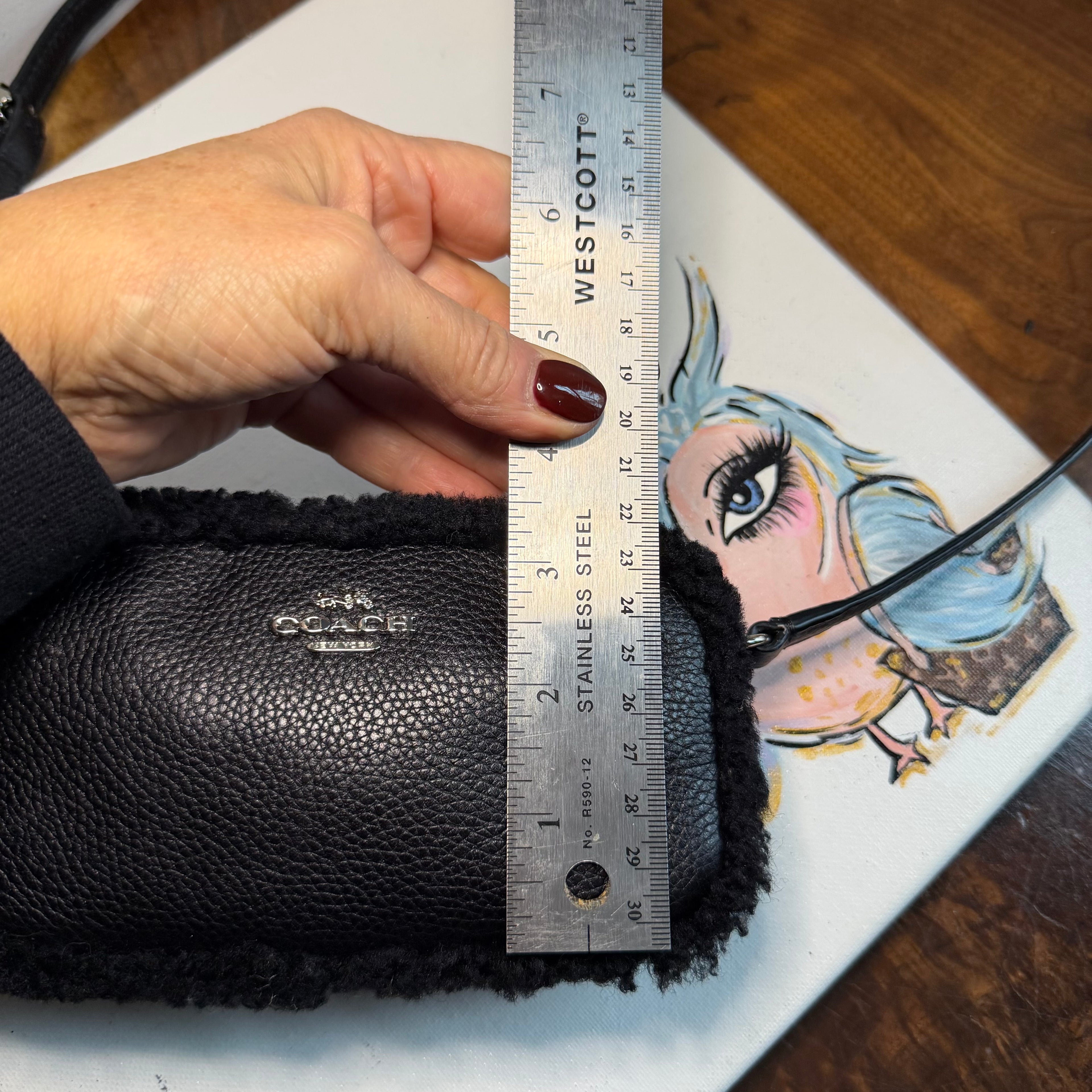 The Junco Crossbody - Black Shearling Leather Coach