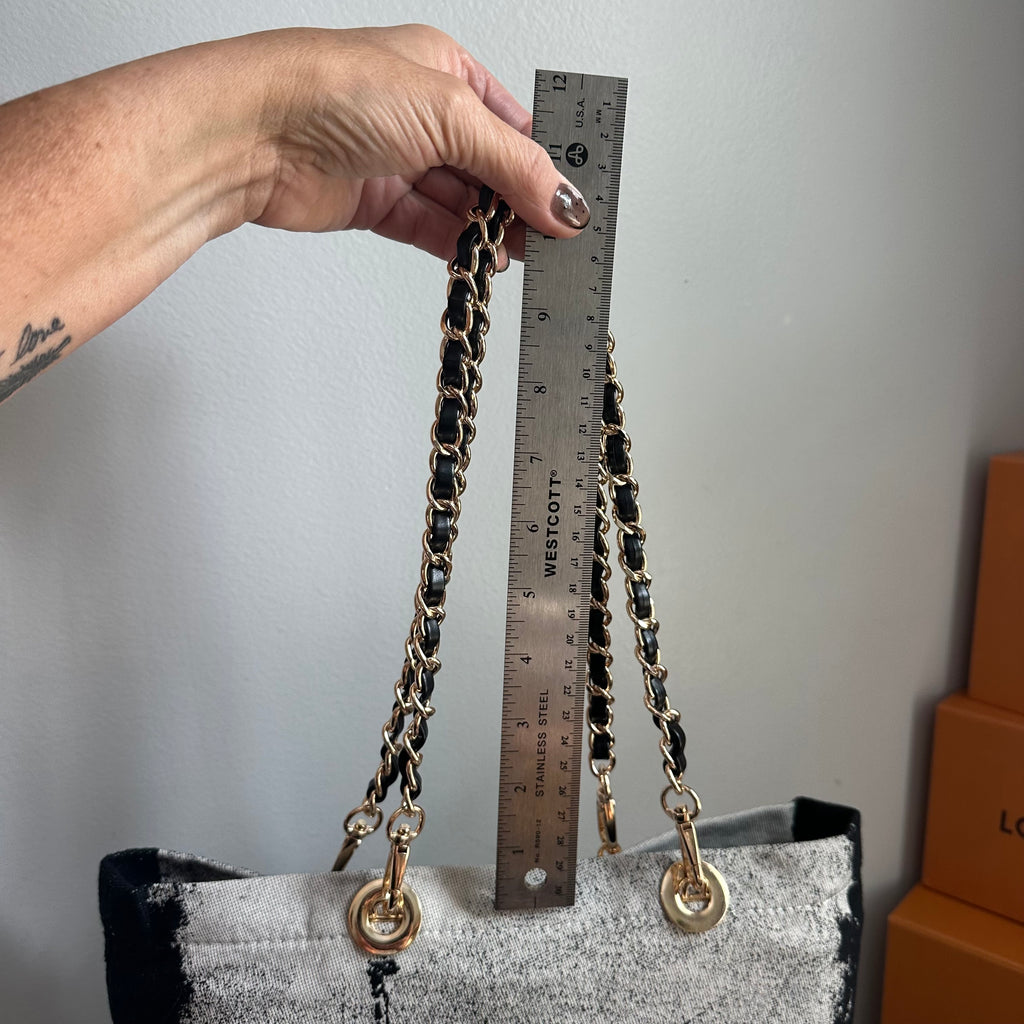 The Tote Bag - Dior Canvas with Paris/Statue of Liberty