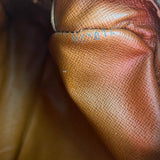The Sparrow Crossbody - Vintage Monogram in Tan