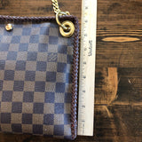 The Nuthatch - Vintage Damier Crossbody with Cheetah Strap